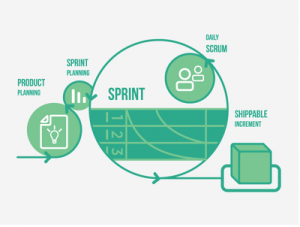 Agile and Scrum